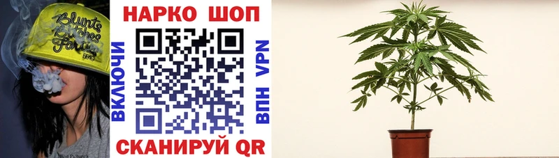 МЕТАДОН Игра