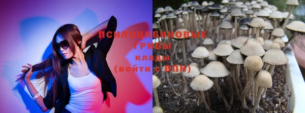 ГАЛЛЮЦИНОГЕННЫЕ ГРИБЫ Богородицк