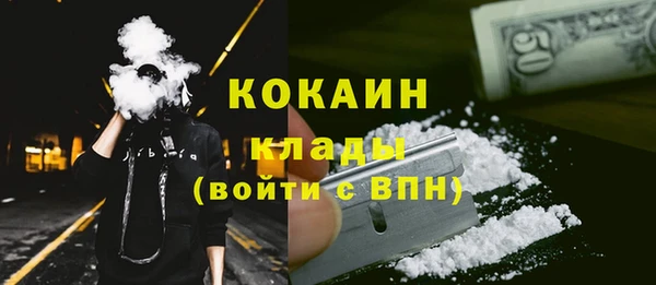 mdpv Богородск