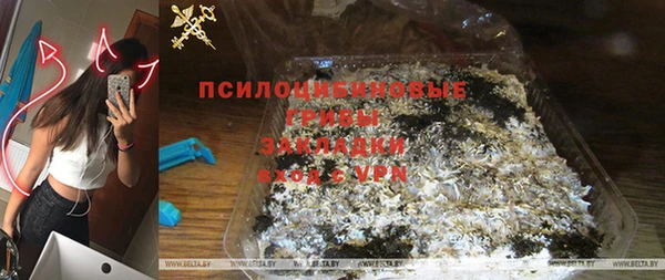 ГАЛЛЮЦИНОГЕННЫЕ ГРИБЫ Богородицк