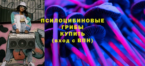 mdpv Богородск