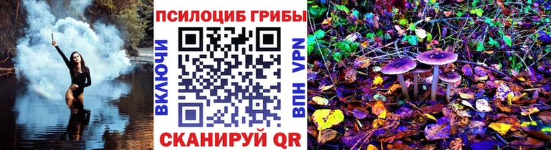 Галлюциногенные грибы мицелий  Игра 